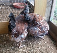 20180707_103806.jpg