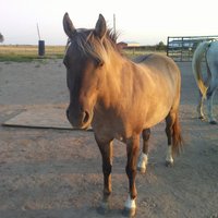 20180706_195643.jpg