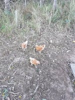 20180708_072434.jpg