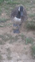 20180707_192652.jpg