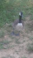 20180707_192650.jpg