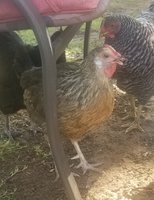 20180707_183249.jpg