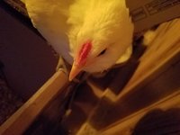 20180707_210907.jpg