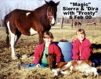 00Feb6FrostyDSMagicImprint2.jpg
