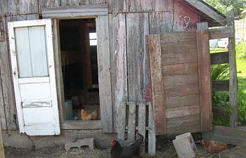 61362_barn_010.jpg 61362_barn_010.jpg