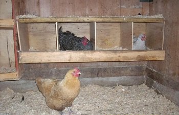 61362_barn_007.jpg 61362_barn_007.jpg
