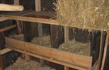 58800_nestboxes.jpg 58800_nestboxes.jpg
