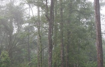 31996_044.jpg