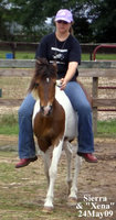 09May24Xena074.JPG