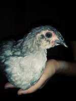 20180708_105258_Film3.jpg