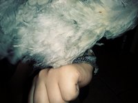 20180708_104900_Film3.jpg