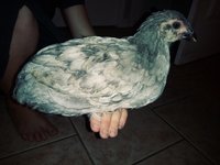20180708_104845_Film3.jpg