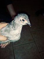 20180708_104839_Film3.jpg