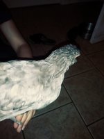 20180708_104833_Film3.jpg
