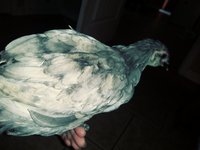 20180708_104827_Film3.jpg