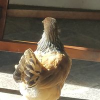 IMG_20180708_091042_404.jpg