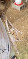 20180708_105035.jpg