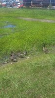 20180708_144037.jpg