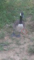 20180707_192650.jpg
