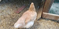 20180708_161619.jpg