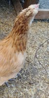 20180708_161611.jpg
