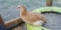 20180708_161514.jpg