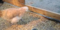 20180708_161521.jpg