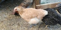 20180708_161533.jpg