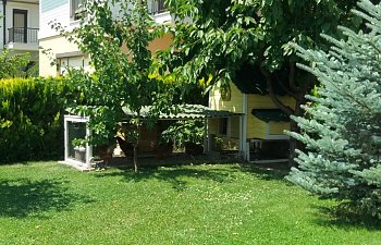 kumes_uzak.JPG