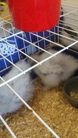20180619_152328.jpg