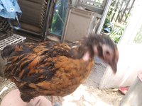 20180709_111142.jpg