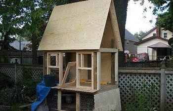 24207_coop_10.jpg