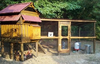 Steadfast's Chicken Coop