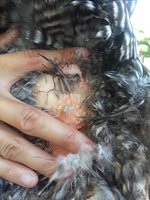 20180709_153841.jpg