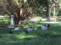 IMG_0397.JPG