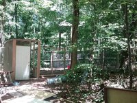 20180709_141009.jpg