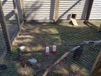 20180709_174316.jpg