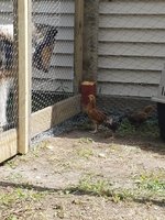 20180708_142518.jpg