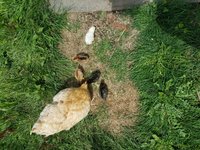 20180710_115947.jpg