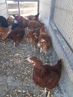 20180710_162103.jpg