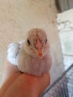 20180711_094205.jpg
