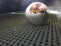 20180711_092142.jpg