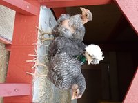 20180710_200345.jpg