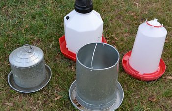 Chicken-Feed-Water-resize.jpg Chicken-Feed-Water-resize.jpg