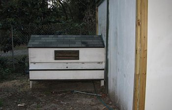 44847_chicken_coop_and_chicken_sleeping_area.jpg 44847_chicken_coop_and_chicken_sleeping_area.jpg