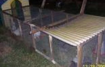 43057_chickenrun8.jpg 43057_chickenrun8.jpg
