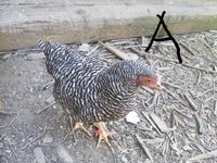 20180710_184719.jpg