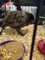 20180710_190356.jpg