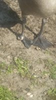 20180711_170343.jpg