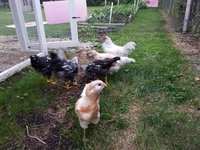 20180709_210559.jpg